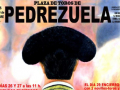 Cartel de toros feria de Pedrezuela 2015